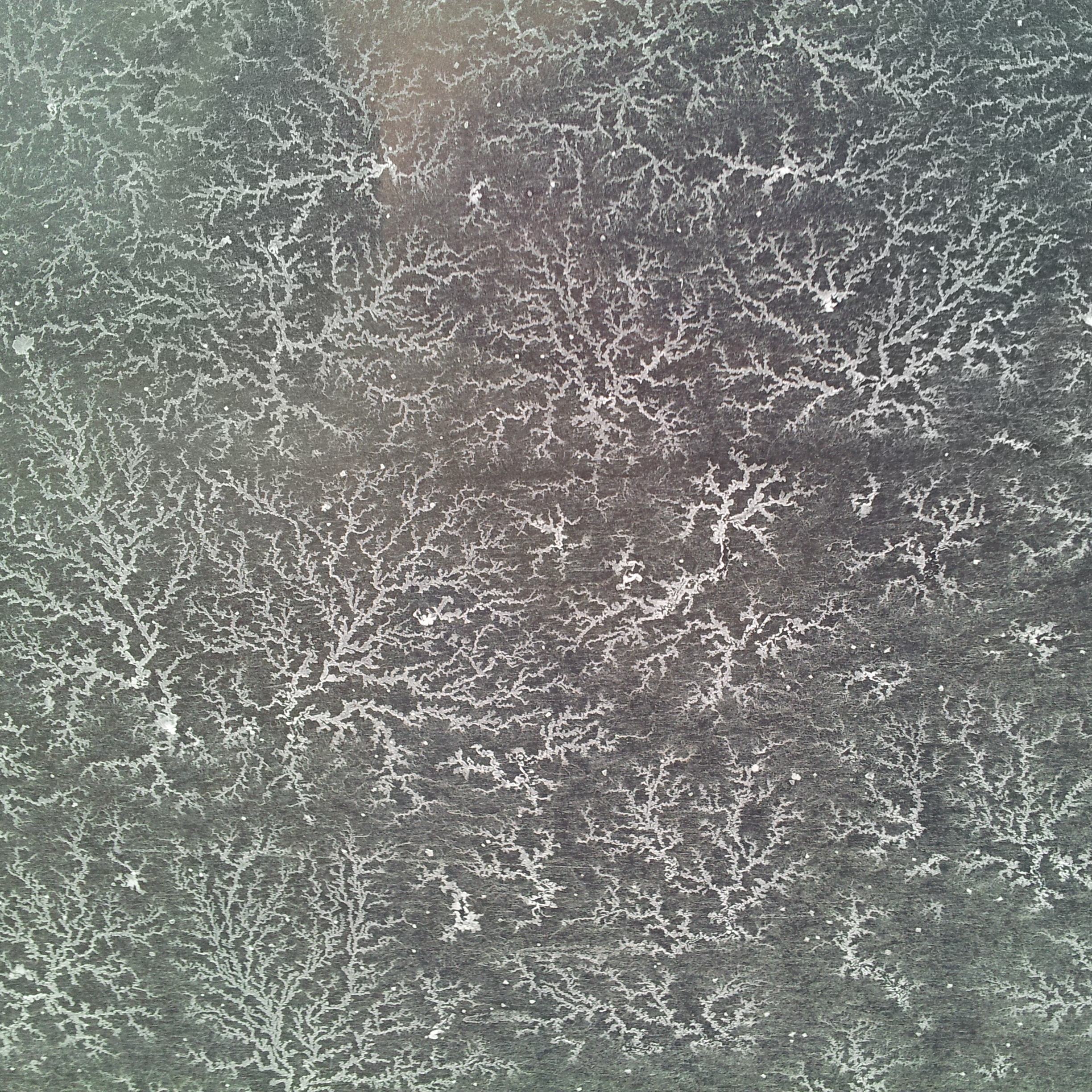 dried salt on the side of my car